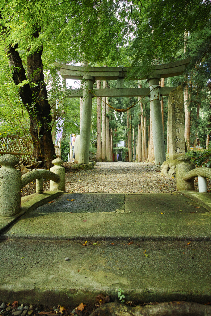 涼を求む