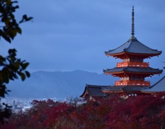 明日も晴れそうだ
