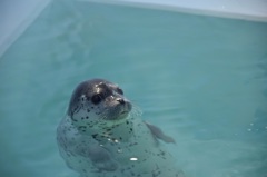 気持ちいいよ〜