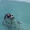 気持ちいいよ〜