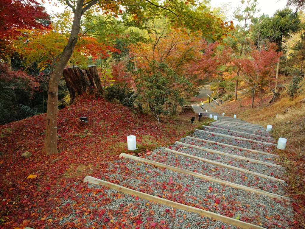 高台寺散策２