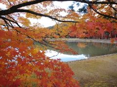 浄土の秋