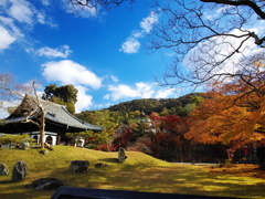 何時から同じ景色を見ているのだろう