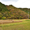 里山の晩秋