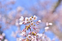 蟻塚公園にて