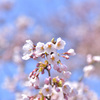 蟻塚公園にて