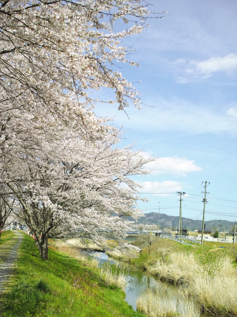 神山川