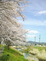 神山川