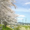 神山川