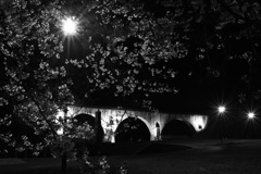 眼鏡橋と夜桜
