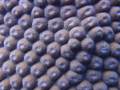 グァム　ガンビーチ