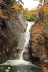 仙峨滝