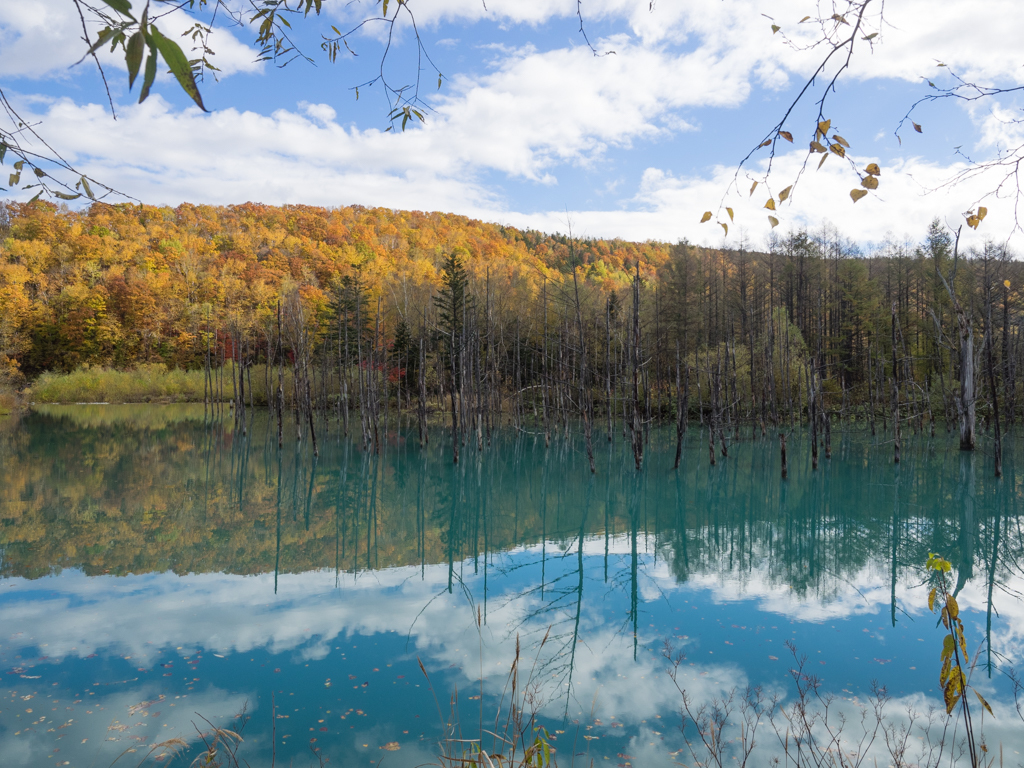 赤と黄色と青と蒼