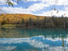 赤と黄色と青と蒼