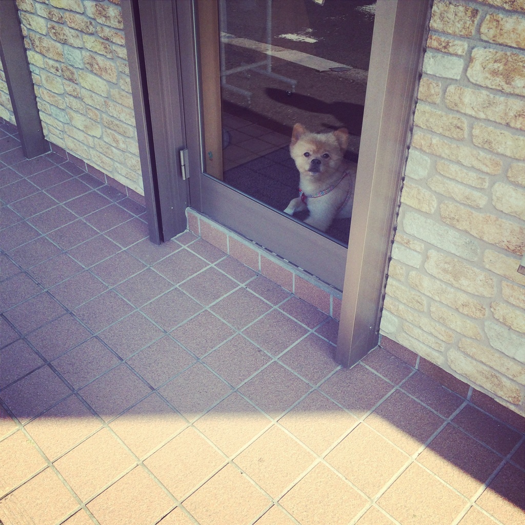 クーン