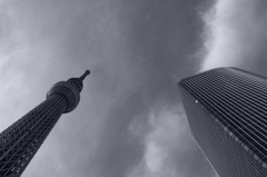 スカイツリーvsビル