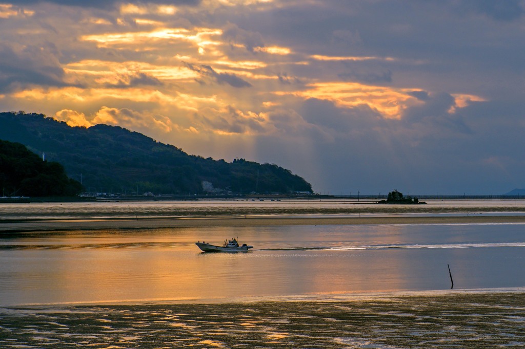 帰港