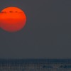 今年の夕陽の見納めです　4