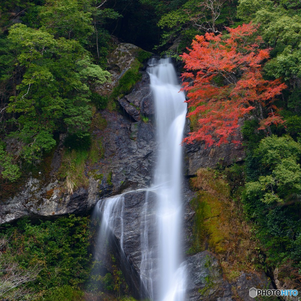 五家荘へ紅葉狩り　３