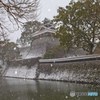 降り止まず