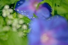 梅雨の晴れ間　３