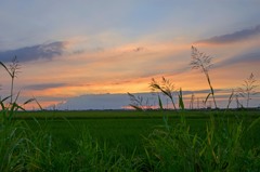 冷夏の夕暮れ　１