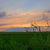 冷夏の夕暮れ　１