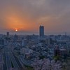 桜色の朝　1