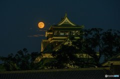中秋の名月　２