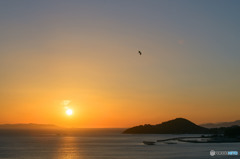 今日もだるま夕陽　２