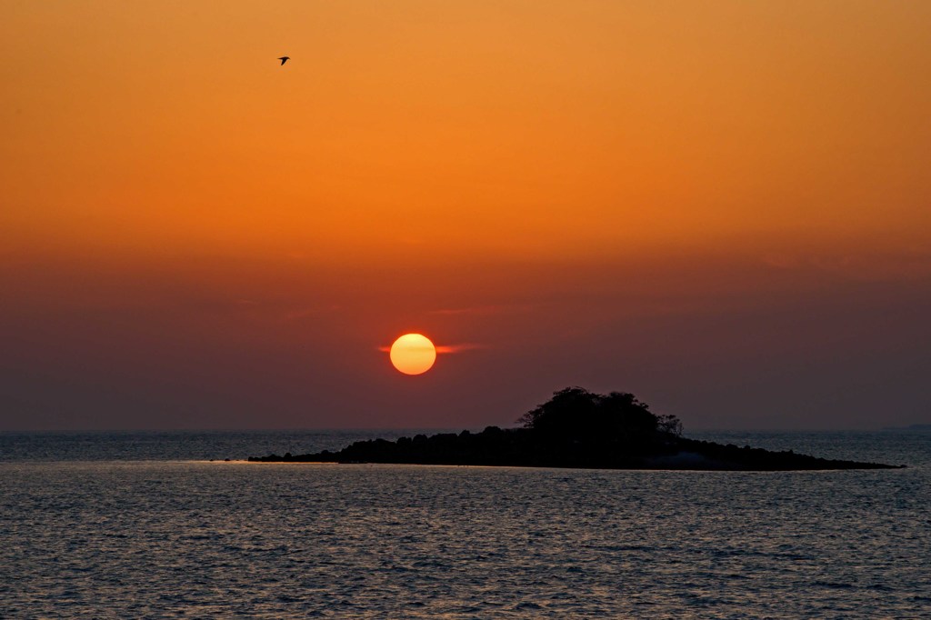 希少種スナメリと夕陽　4