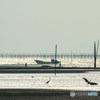 秋の宇土半島　4