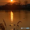 江津湖の夕暮れ