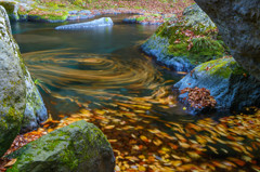 晩秋の菊池渓谷