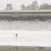 外堀にも薄氷が