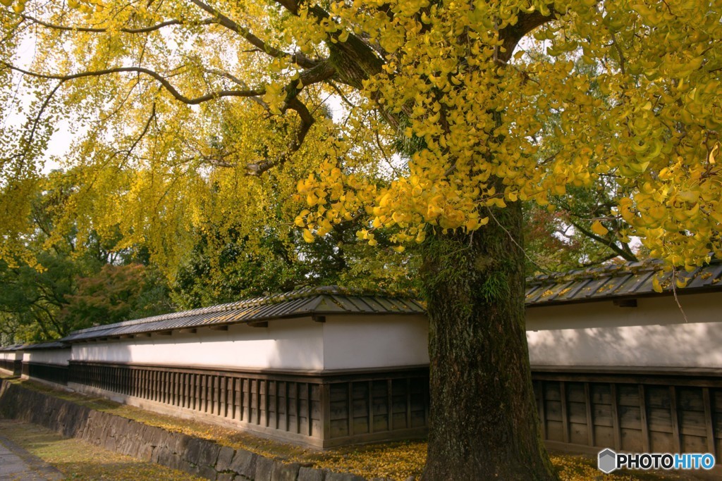 秋の旧細川刑部邸　1