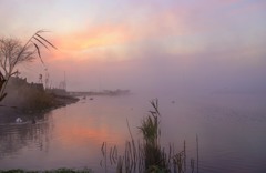 湖の朝霧　1