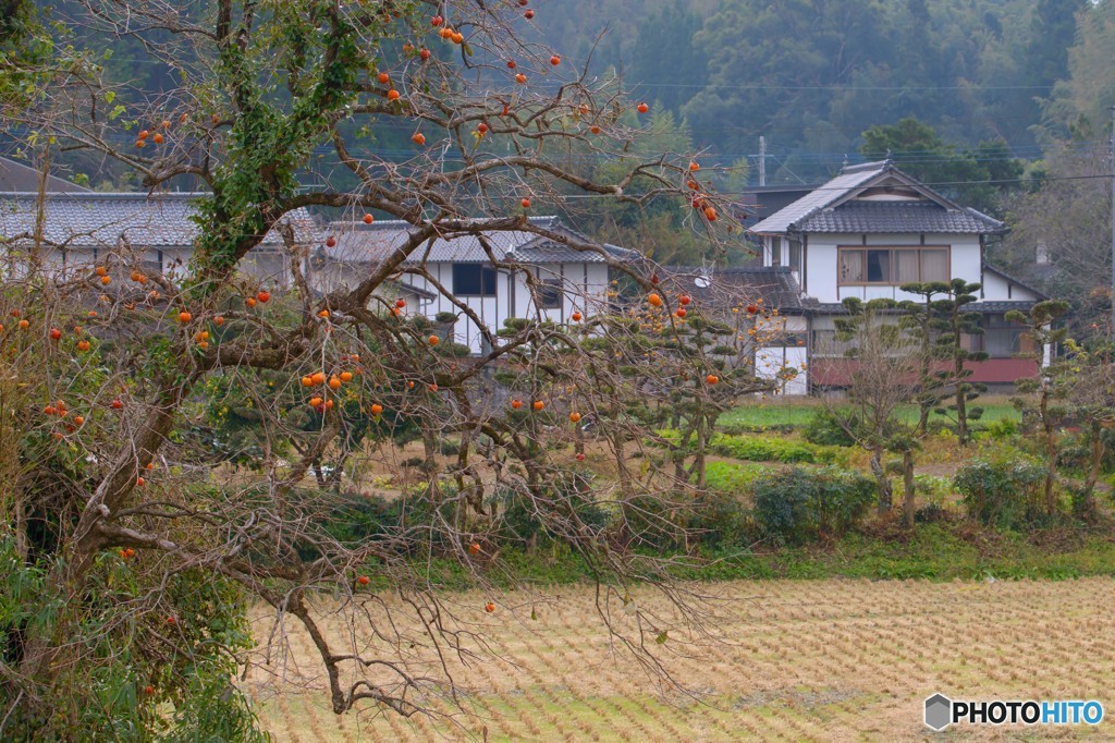 里の秋　２