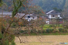 里の秋　２