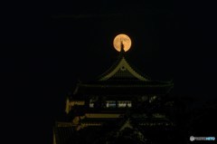 中秋の名月　３