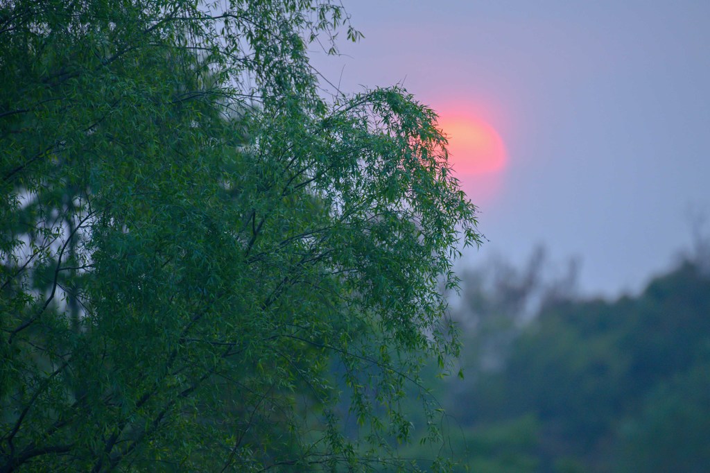 久々の夕景･･･　３完