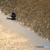 静かな秋の夕暮れ　1