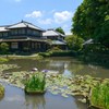 梅雨期は花盛り　１