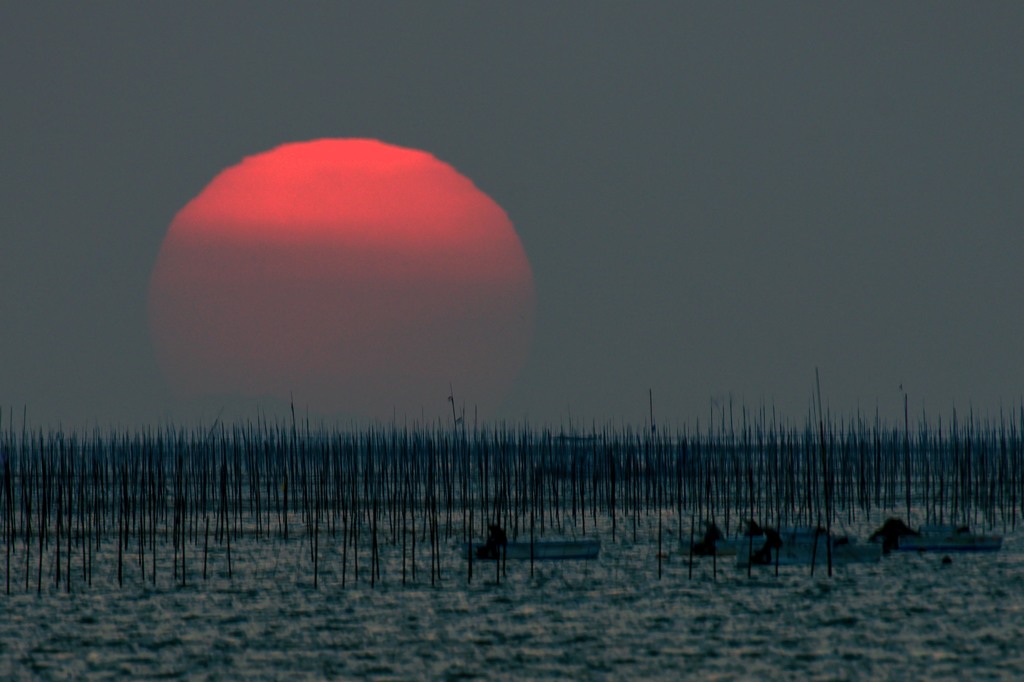 今年の夕陽の見納めです　5完