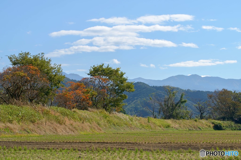 続・里の秋　6完