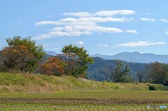 続・里の秋　6完