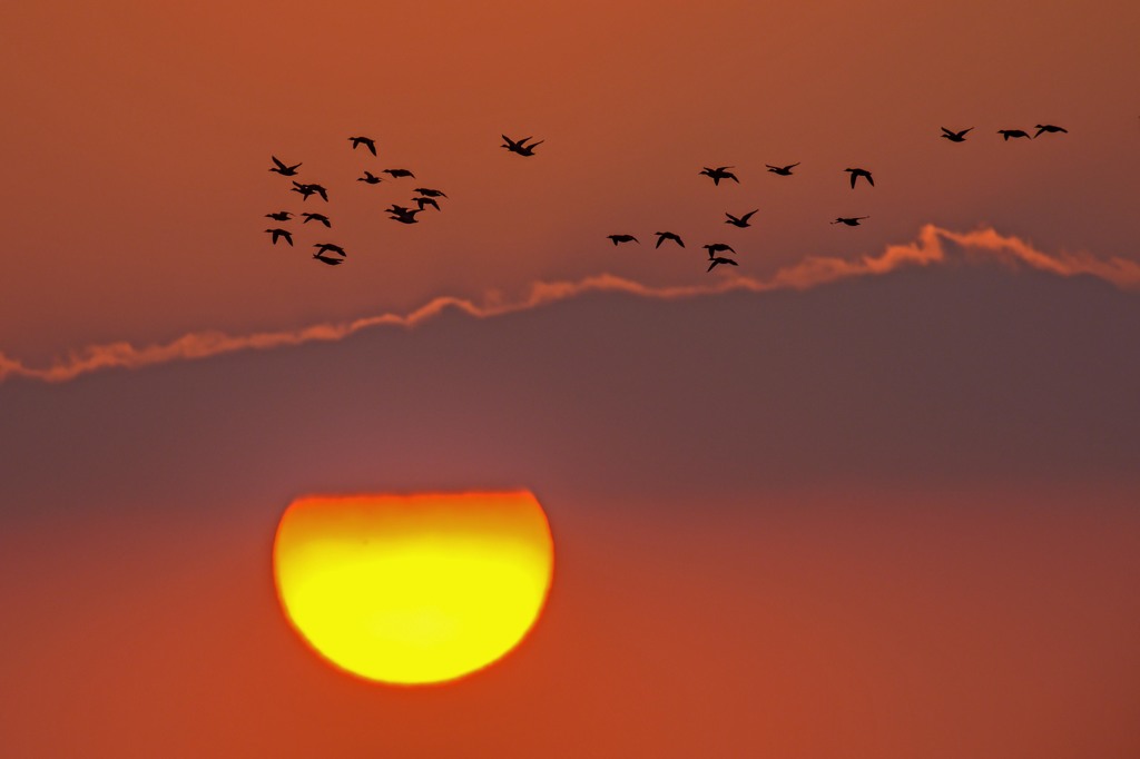 河口の夕暮れ　２完