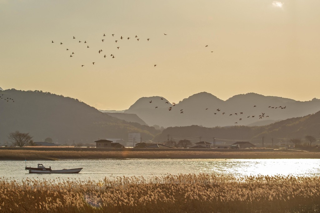 いつもの夕景　１