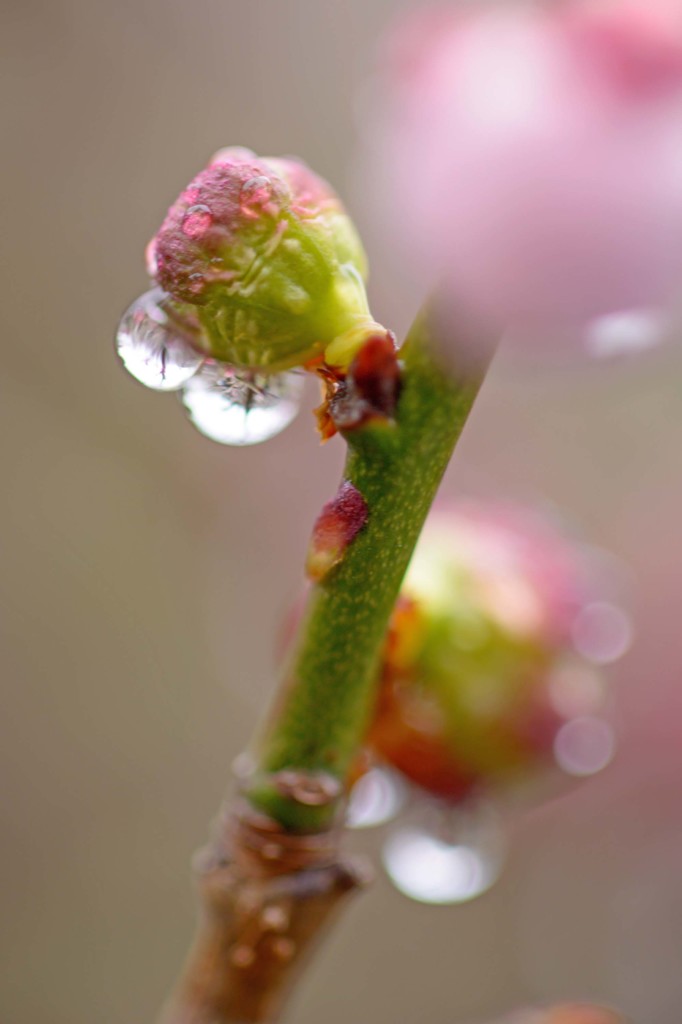 春雨か････　1