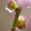 春雨か････　1